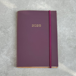 New Layout - A5 2025 Diary - Recycled Leather